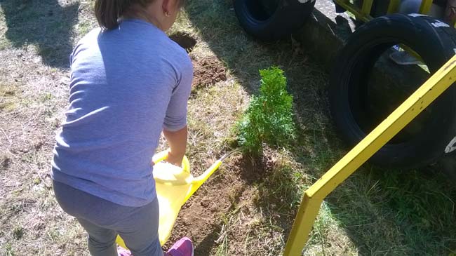 WP_20160928_12_07_50_Pro