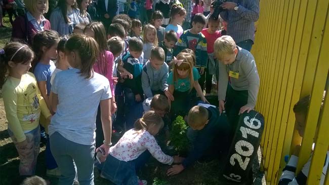 WP_20160928_12_10_01_Pro