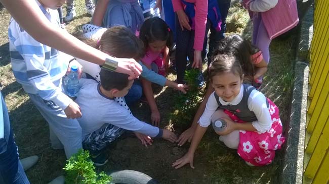 WP_20160928_12_11_29_Pro