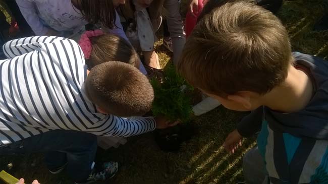 WP_20160928_12_13_16_Pro