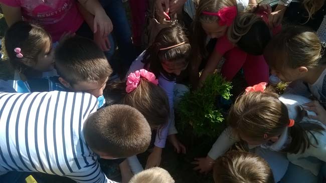 WP_20160928_12_13_20_Pro