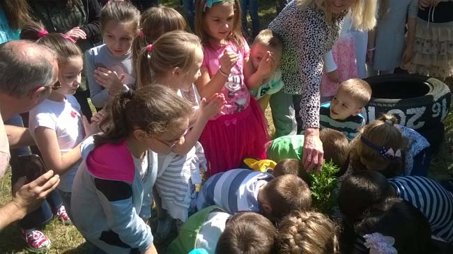 WP_20160928_12_16_55_Pro 1