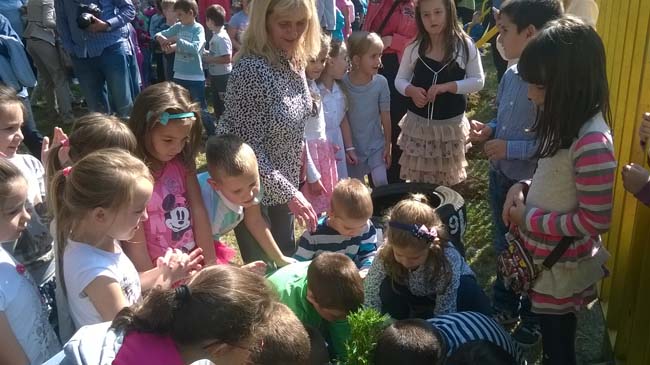 WP_20160928_12_17_02_Pro