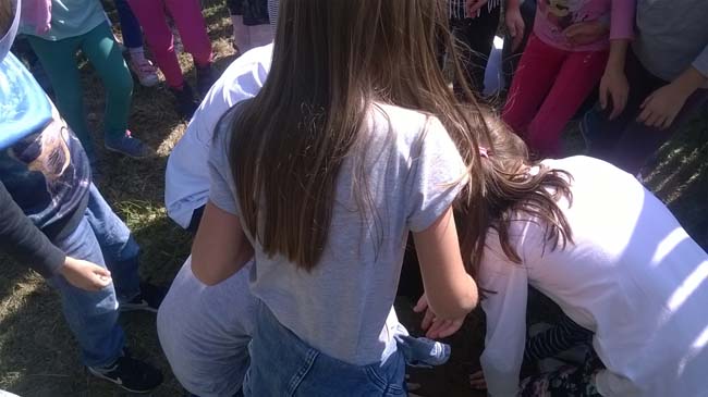 WP_20160928_12_18_08_Pro