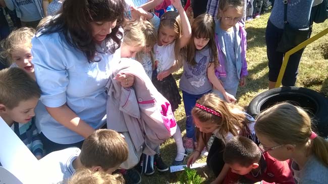 WP_20160928_12_18_14_Pro