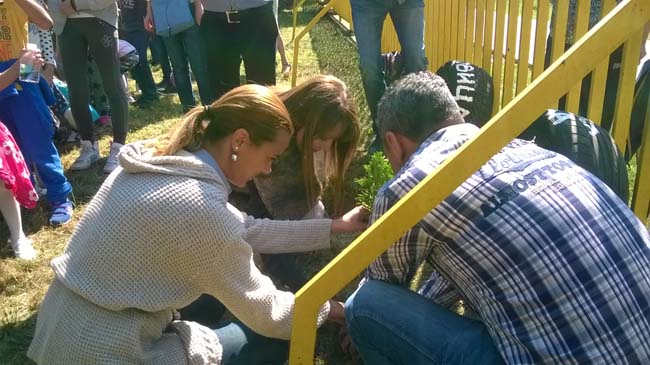 WP_20160928_12_21_35_Pro