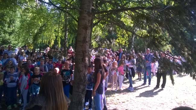 WP_20160928_12_25_40_Pro